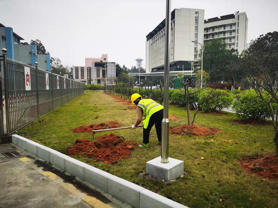 菲律宾网赌合法平台工人正在补种树苗